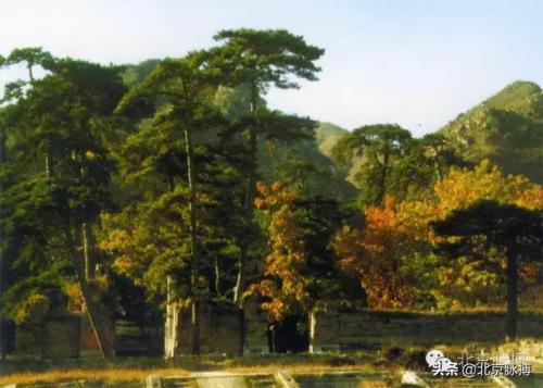 110221是北京哪个区(北京多少个区)插图63