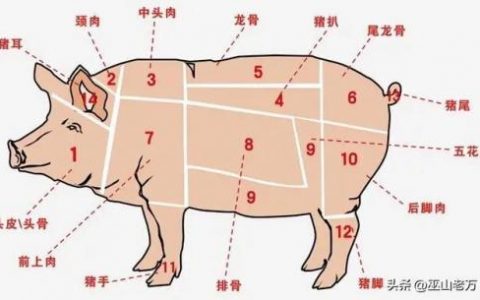吃货大食堂食材(吃货大食堂米饭怎么获得)