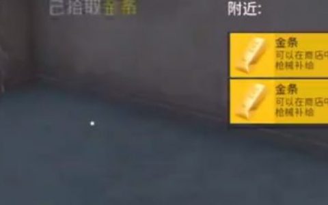 和平精英：只有两千金条(和平精英哪来的物资)