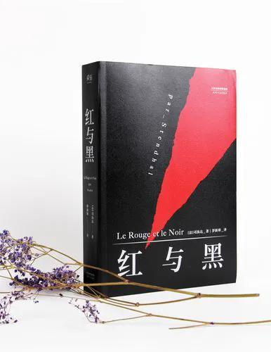 世界十发小说排名前十(到各个世界给人发秘籍的小说)插图4