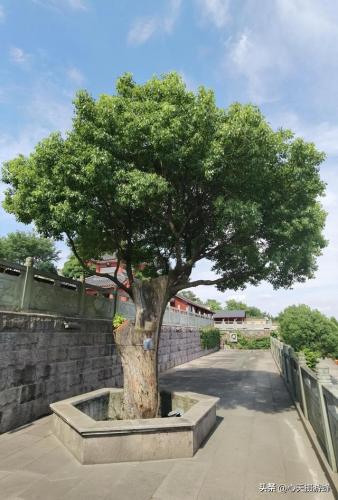 萧山免费寺庙排名前十(萧山私人寺庙)插图35