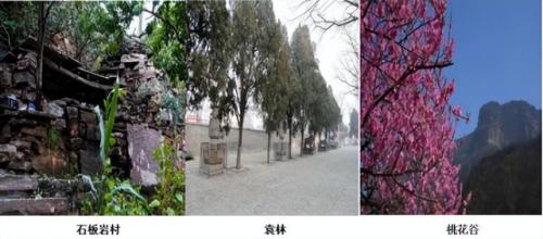 漯河砂锅美食排名前十(漯河小吃砂锅推荐)插图113