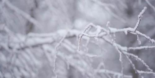 四川哪里下雪了(2023第一场雪)插图11