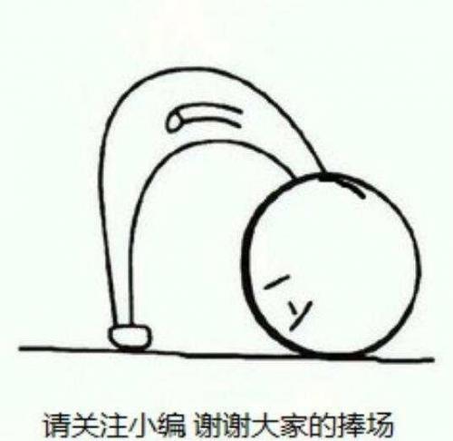 谁克制暗黑元首(元首特指谁)插图3