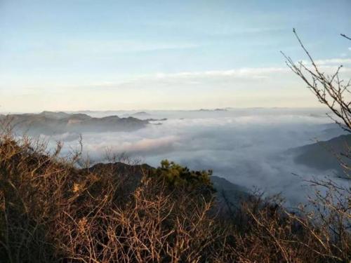 莫干山在哪里(莫干山旅游攻略)插图4