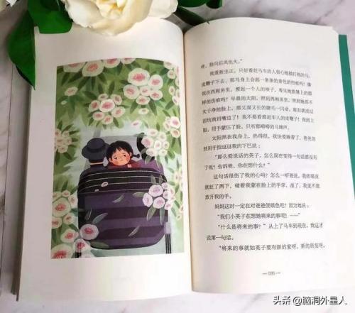 城南旧事主要内容(城南旧事的感悟20字)插图9
