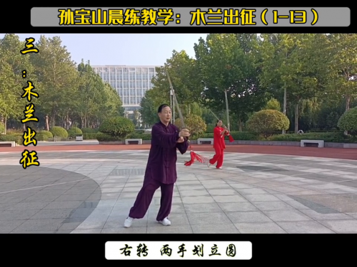 木兰出征剑(24式木兰剑背向慢动作)插图1