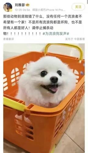 dnf动物套2021(dnf2021动物套多少钱)插图17