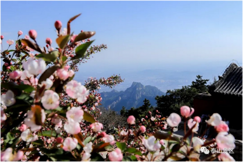 泰安旅游(泰安老街)插图1