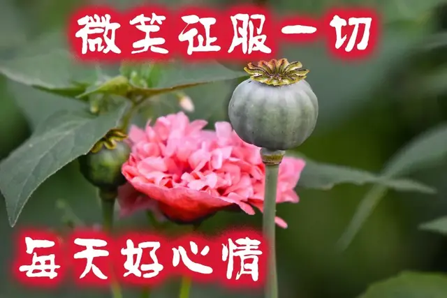 2020年图片大全好看(你好图片大全)插图13
