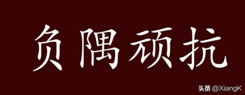 负隅顽抗的隅是什么意思(负隅顽抗出自哪里)插图2