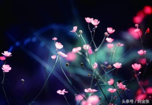 隐身对其可见(qq设置隐身别人看到的是什么)插图6