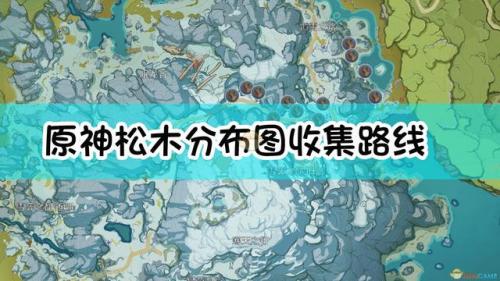 原神松木在哪采集(原神松木采集时间)插图