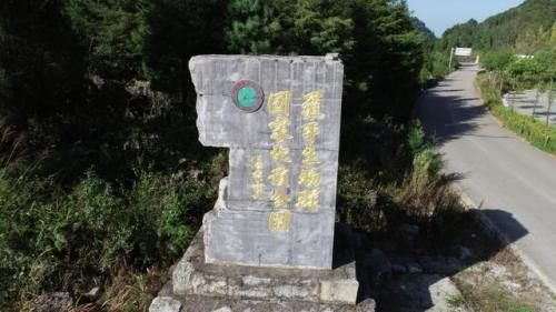 罗平烧烤景点排名前十(罗平美食一条街的位置)插图3