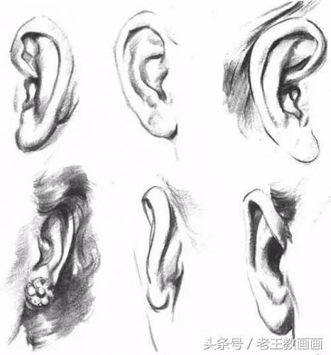 学画画零基础(附近的画画的地方培训班)插图60