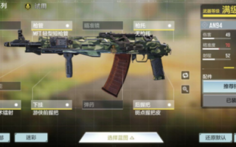 使命召唤手游AN94和KN44哪个好用一些(使命召唤手游哪个服更好)