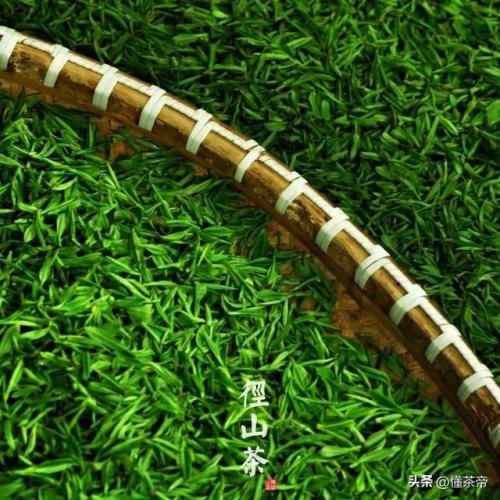 富阳茶叶品种排名前十(浙江十大名茶排名)插图7