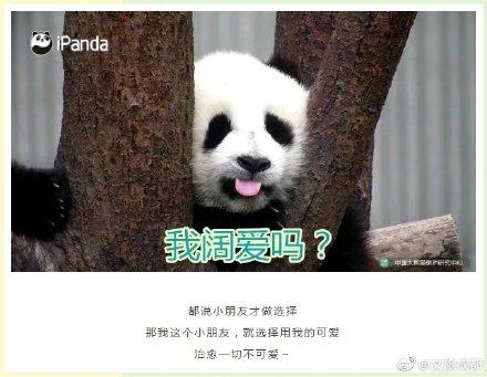 土味情话大全(撩妹500句土味情话)插图5
