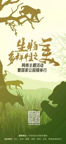 虎啸山林(虎啸花林什么意思)插图3