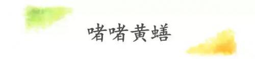 贵阳粤菜小吃排名前十(贵阳十大粤菜排名)插图12