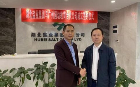广州国企盐业排名前十(广东盐业国企排名)