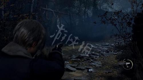 生化危机4图文攻略完整版(生化危机4图文攻略)插图10