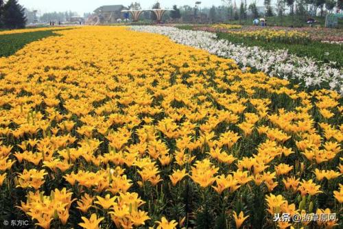 辽宁锦阳景点排名前十(锦阳特色)插图6