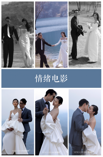 婚纱照风格(婚纱礼服)插图8