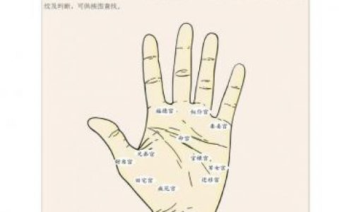 看手相算命(免费算命)