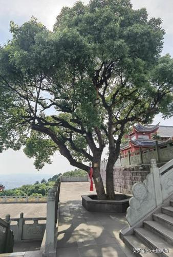 萧山免费寺庙排名前十(萧山私人寺庙)插图36