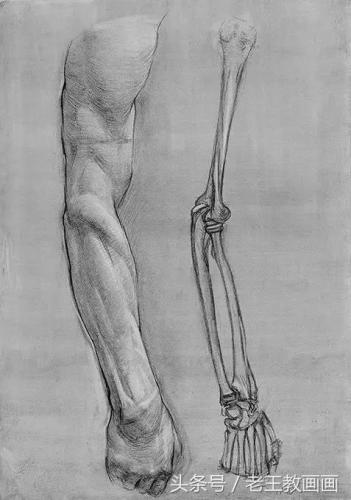 学画画零基础(附近的画画的地方培训班)插图26