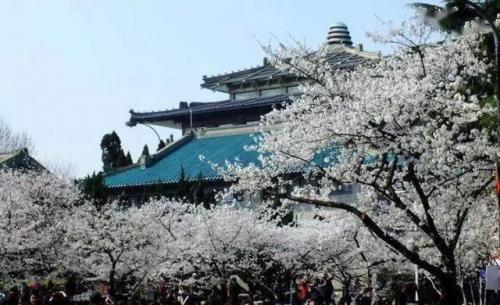 高校文娱领域排名前十(全国高校自媒体排名)插图2