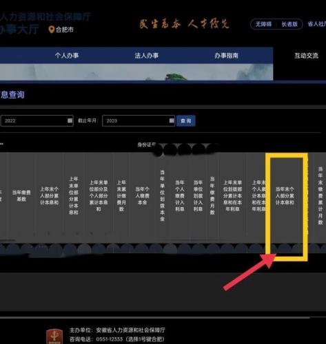 合肥社保查询(合肥社保个人账户查询)插图7