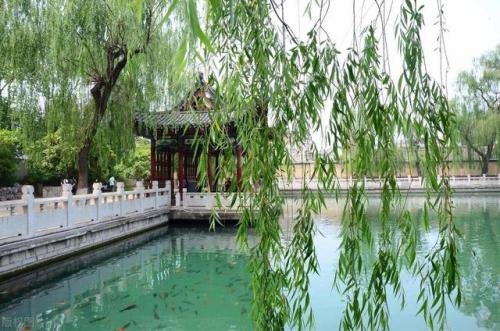 济南景点排名大全前十(济南景点60岁拿身份证免费吗)插图28