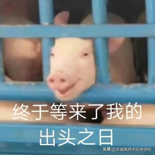 大众食堂面积排名前十(食堂餐厅和厨房面积)插图1