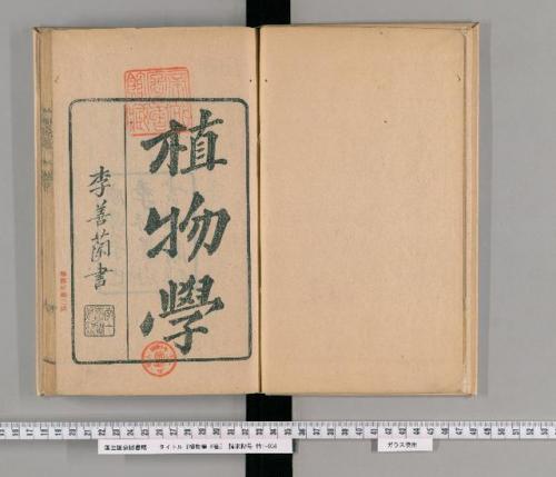 洛克王国紫藤拿什么换(洛克王国紫藤怎么快速获得大量)插图46