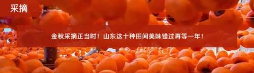 曲阜免费景点排名前十(曲阜好景点排名第一)插图12