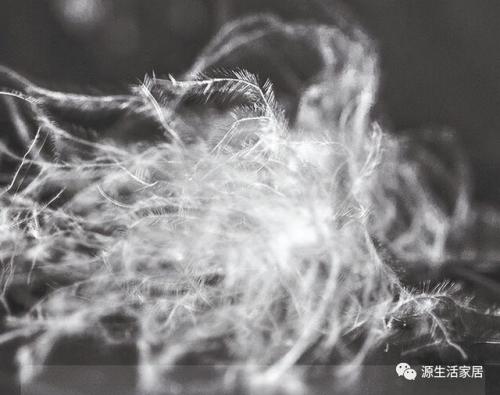 排名前十的羽绒枕(羽绒枕头最好的牌子)插图1
