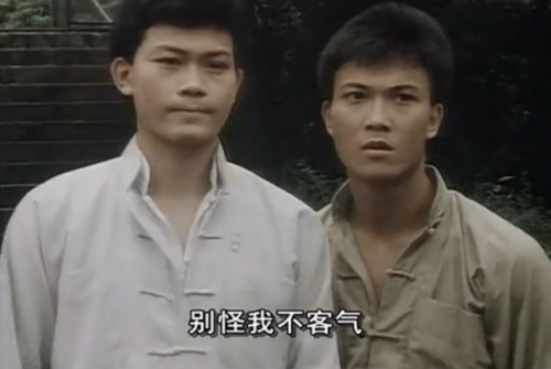 电视剧霍东阁(83版霍东阁演员表)插图8