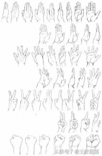 学画画零基础(附近的画画的地方培训班)插图3