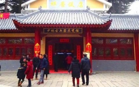 武僧能用什么武器(踏风武僧可以用双手武器吗)