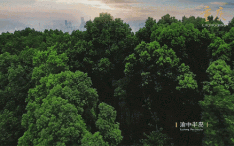 重庆神秘家族排名前十(重庆垫江梅氏家族)