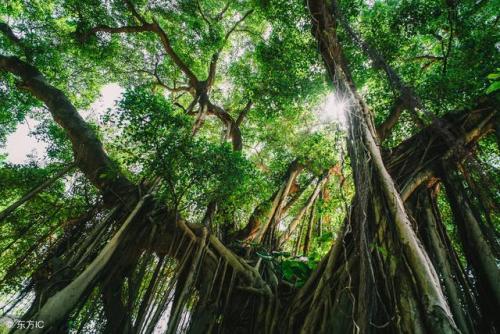 德宏旅游景点大全(腾冲几月份去最好)插图1