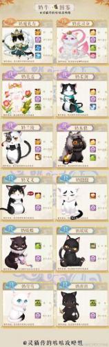 灵猫传奶牛猫图鉴汇总介绍(灵猫是猫吗)插图1