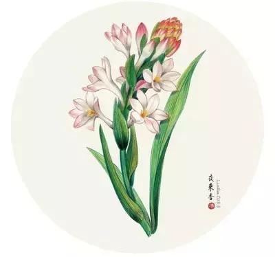 洛克王国云外孔桥灵芝(洛克王国巨龙先驱者在哪)插图3