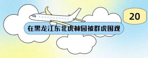 哈尔滨自拍馆排名前十(哈尔滨最好的回民馆)插图67