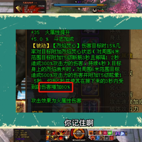 斗战神猴子刷图走火还是电(斗战神猴子最强属性)插图