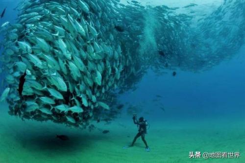 巴新是哪个国家(巴布亚新几内亚安全吗)插图10