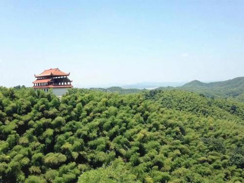 益阳重点景区排名前十(益阳一日游哪里好玩)插图3