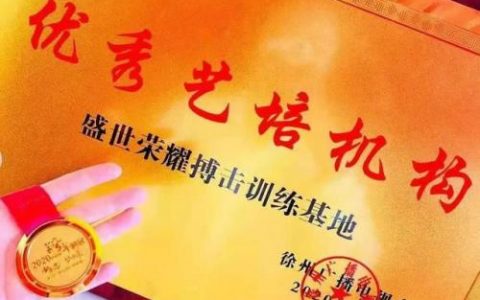 徐州格斗馆排名前十(徐州综合格斗哪里最好)